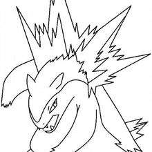 Typhlosion - Coloriage - Coloriage POKEMON