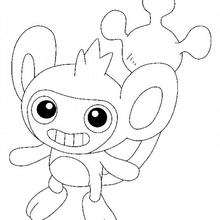 Capumain - Coloriage - Coloriage POKEMON