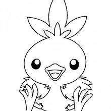 Poussifeu - Coloriage - Coloriage POKEMON
