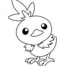 Poussifeu à colorier - Coloriage - Coloriage POKEMON