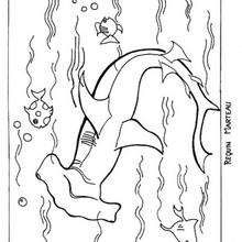Coloriage d'un requin marteau - Coloriage - Coloriage ANIMAUX - Coloriage ANIMAUX MARINS - Coloriage REQUIN