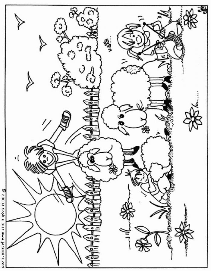 saute-moutons