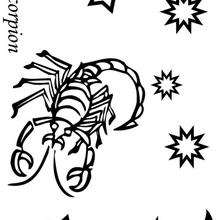 Coloriage du signe du Scorpion