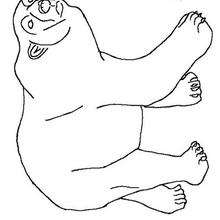 Coloriage d'un ours blanc - Coloriage - Coloriage ANIMAUX - Coloriage ANIMAUX DE LA FORET - Coloriage OURS