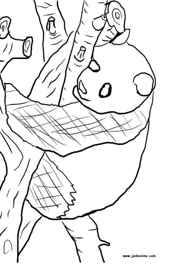 un-panda