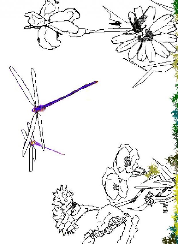 une-libellule-dans-les-fleurs