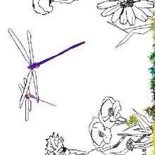 Coloriage NATURE
