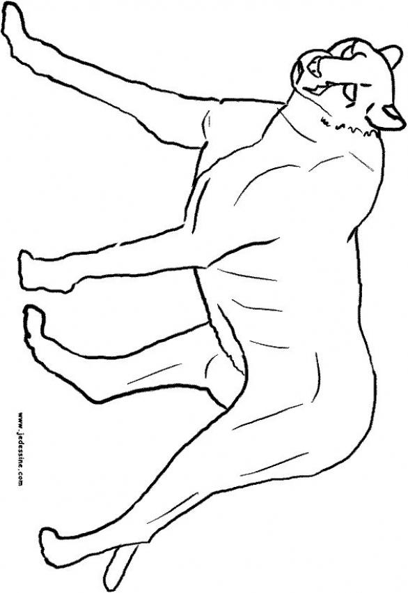 une-panthere