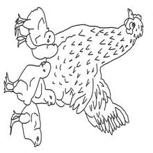 Coloriage POULE