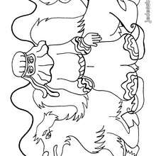 Coloriage d'un dromadaire du d�sert - Coloriage - Coloriage ANIMAUX - Coloriage ANIMAUX A IMPRIMER