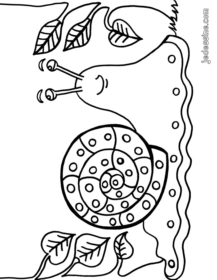 Escargot