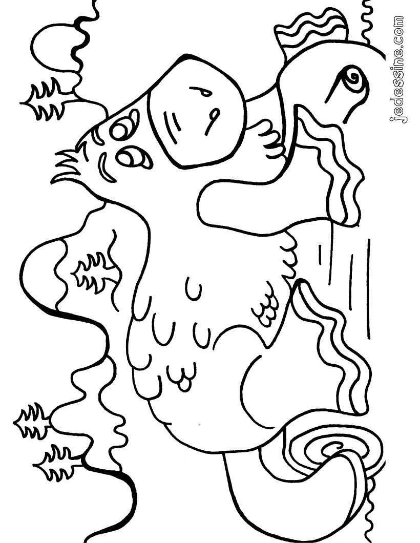 Hippopotame