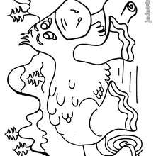 Coloriage HIPPOPOTAME