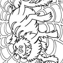 Coloriage d'une vilaine araign�e - Coloriage - Coloriage FETES - Coloriage HALLOWEEN - Coloriage HALLOWEEN A IMPRIMER