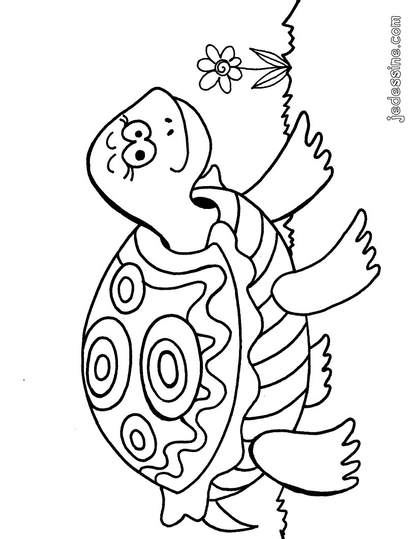 Tortue