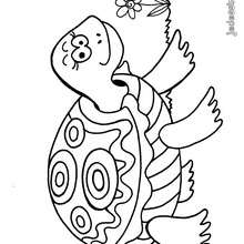 Coloriage d'une tortue - Coloriage - Coloriage ANIMAUX - Coloriage ANIMAUX MARINS - Coloriage TORTUE - Coloriage TORTUE A IMPRIMER