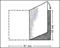 IMAGE-3