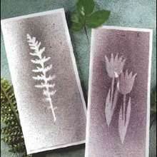 Cartes à motifs de plantes pressées - Activités - BRICOLAGE FETES - BRICOLAGE POUR PREPARER LES FETES - Cartes rigolotes à faire soi-même