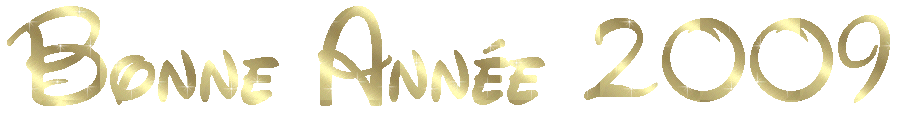 annee 2009