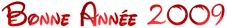 VOEUX 2009