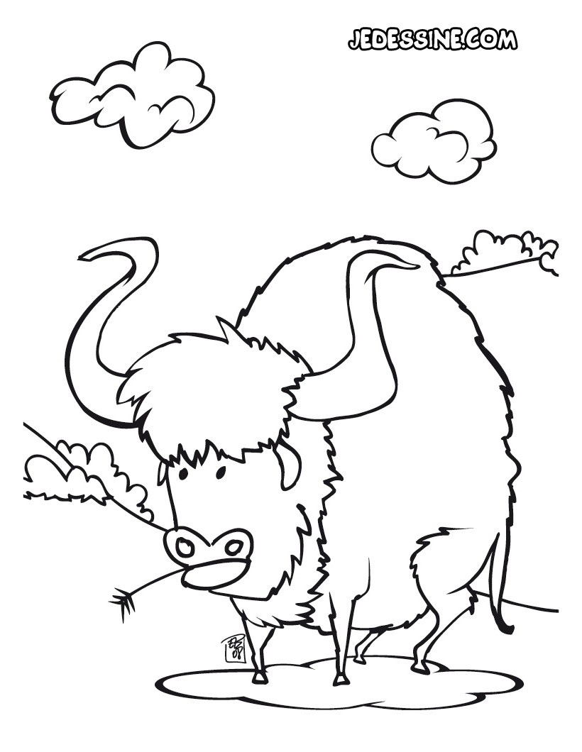 Coloriages coloriage d un bison fr hellokids Coloriage d un bison