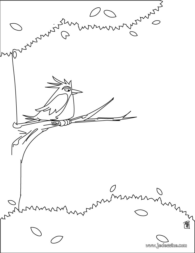 Coloriage d un oiseau sur une branche