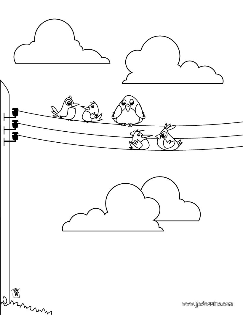 Coloriage d oiseaux sur des fils electriques