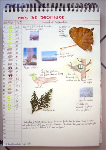 Fiche brico: Ton journal de la nature. - Activités - Bricolage - Divers - Ton journal de la nature.