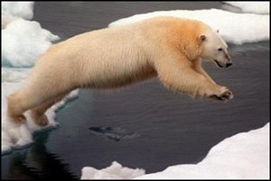 ours2