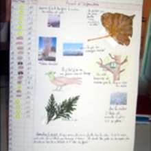 Fiche brico: Ton journal de la nature.