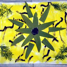 Ta composition de feuilles de saison. - Activit�s - Bricolage ENFANT - Bricolage pour cadeaux et d�coration