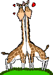 girafes saint valzntin