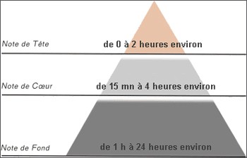 pyramide-olfactive