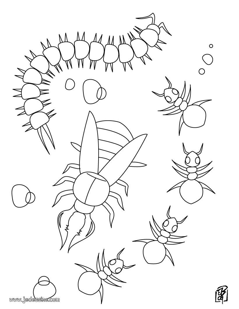 Coloriage d une colonie d insectes