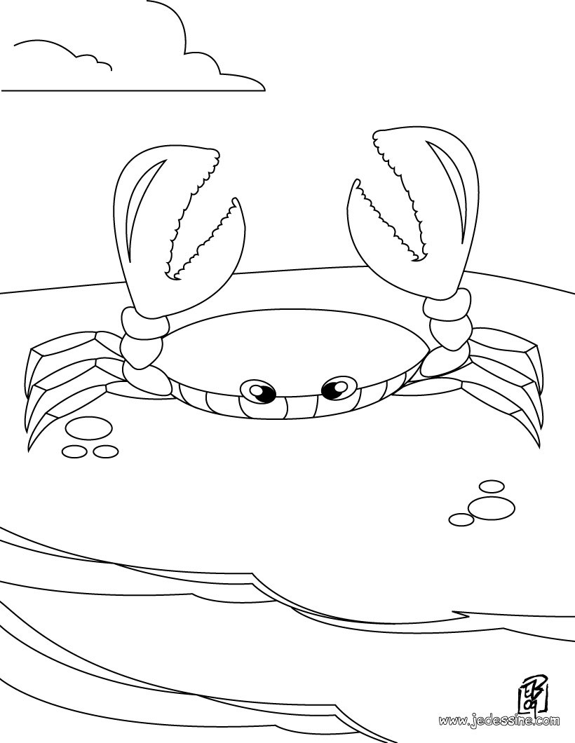 coloriage d un crabe