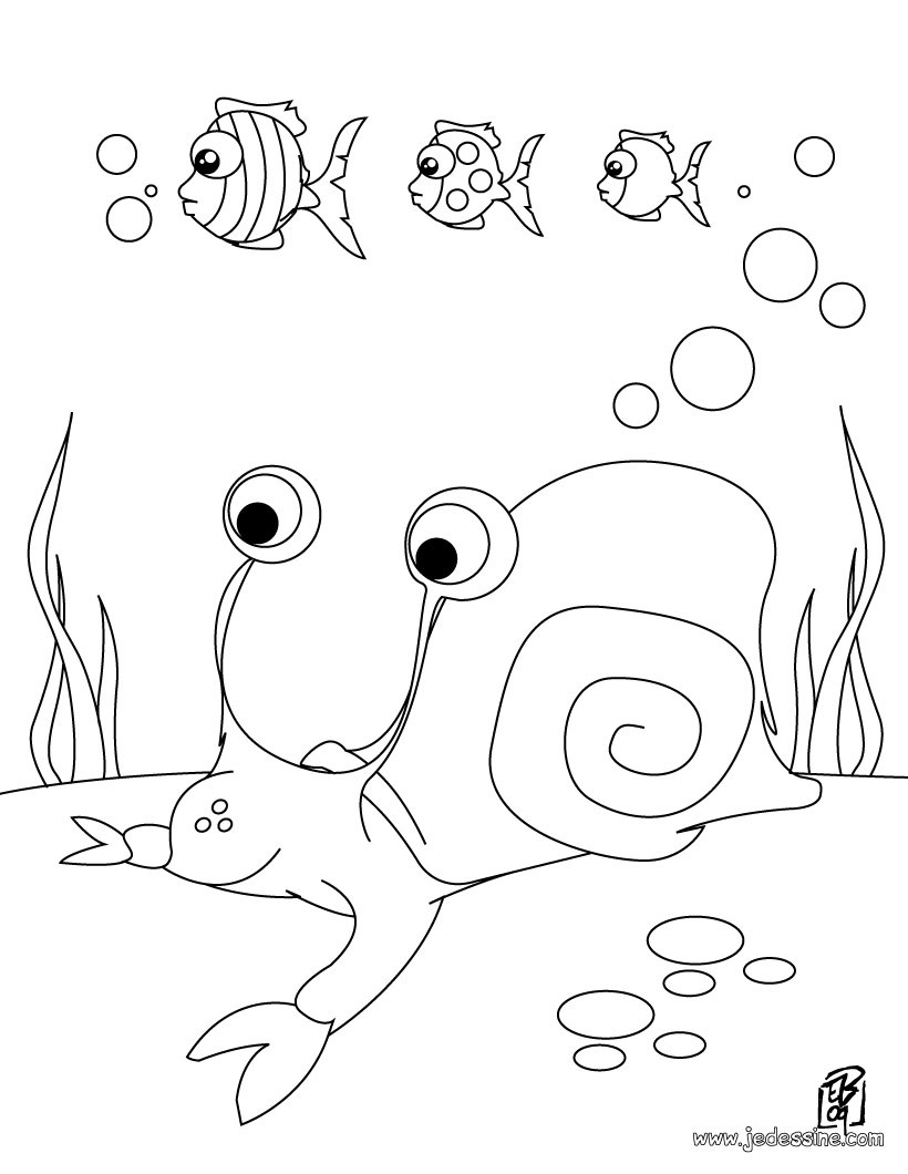 Coloriage d un escargot de mer