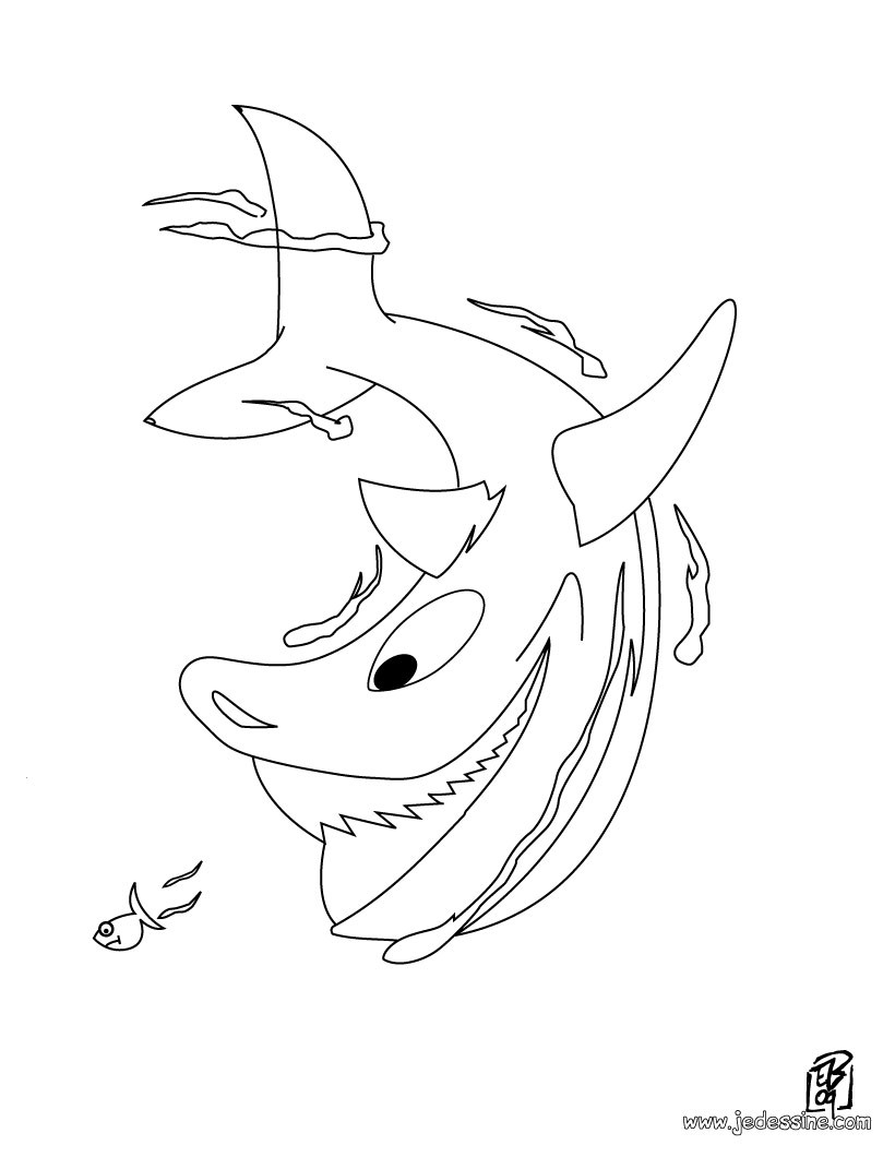 coloriage de requin