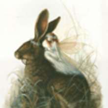 Conte celte : le lièvre d'argent - Lecture - CONTES pour enfant - CONTES D'HORREUR