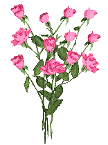 bouquet fleurs roses