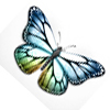 Lire les reportages sur le Printemps - Activit�s - Bricolage ENFANT - Bricolage pour pr�parer les f�tes ! - Bricolage f�te du Printemps