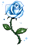 rose bleue