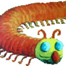 Le mille-pattes