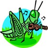 Coloriage INSECTE - Coloriage ANIMAUX - Coloriage