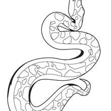Coloriage d'un serpent totem