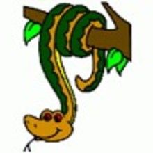 Coloriage SERPENT - Coloriage ANIMAUX - Coloriage