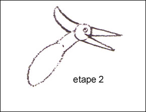 pteranodon2