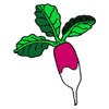 Coloriage LEGUME - Coloriage NATURE - Coloriage