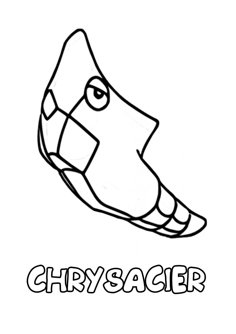 chrysacier