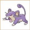 RATTATA
