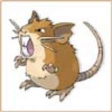 Rattatac - Coloriage - Coloriage POKEMON